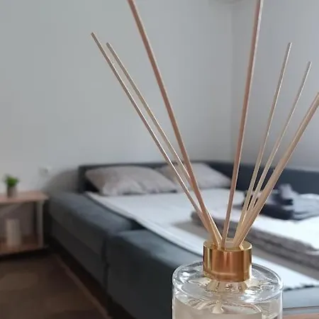 Quiet And Renovated Free Parking Free Wifi * Ljubljana