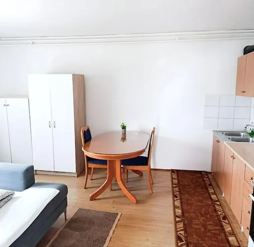 Quiet And Renovated Free Parking Free Wifi Ljubljana